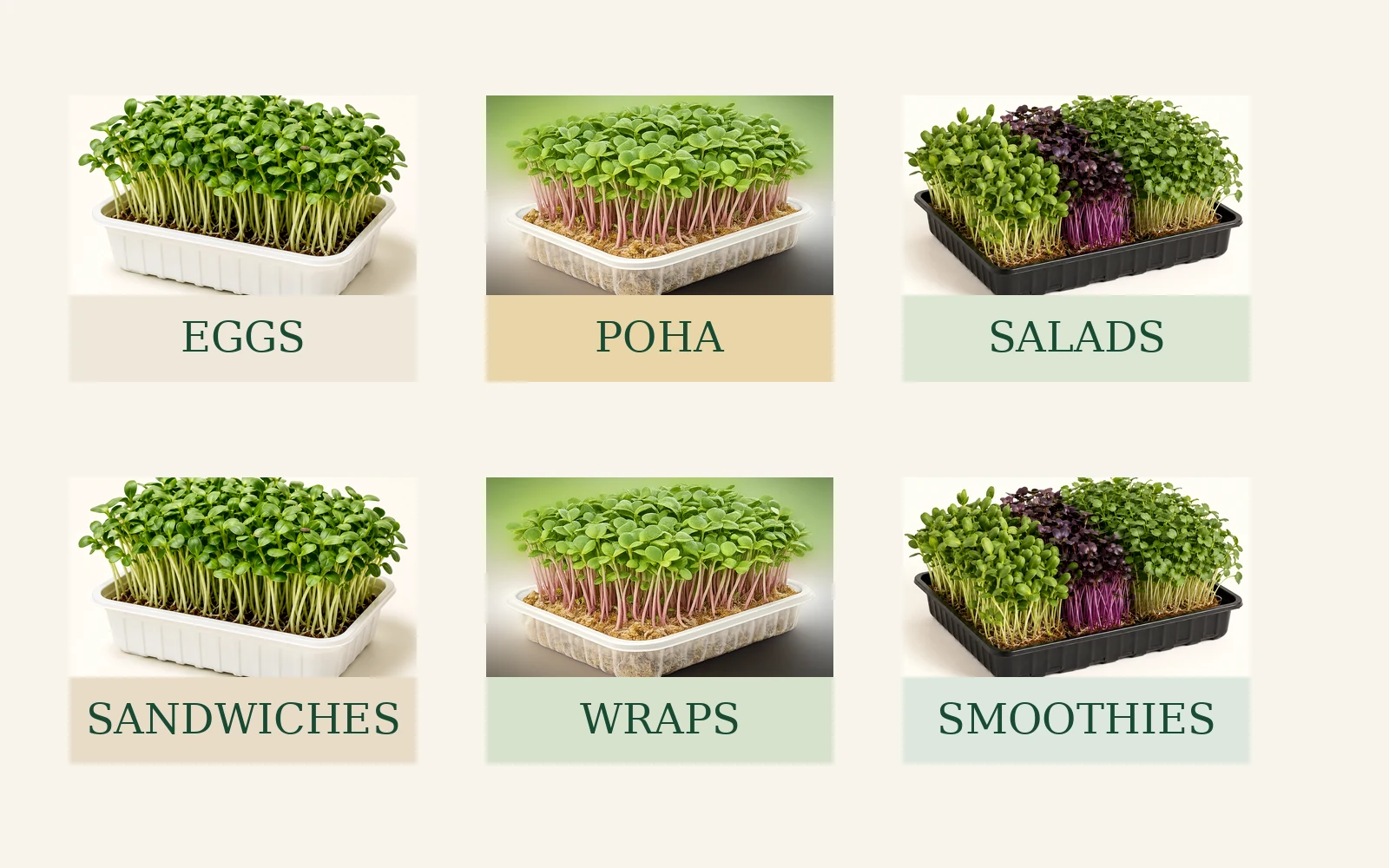 Everyday meals finished with fresh microgreens